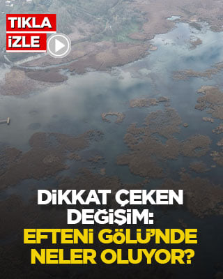 Dikkat çeken değişim: Efteni Gölü’nde neler oluyor?