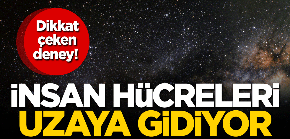 Dikkat çeken deney! İnsan hücreleri uzaya gidiyor