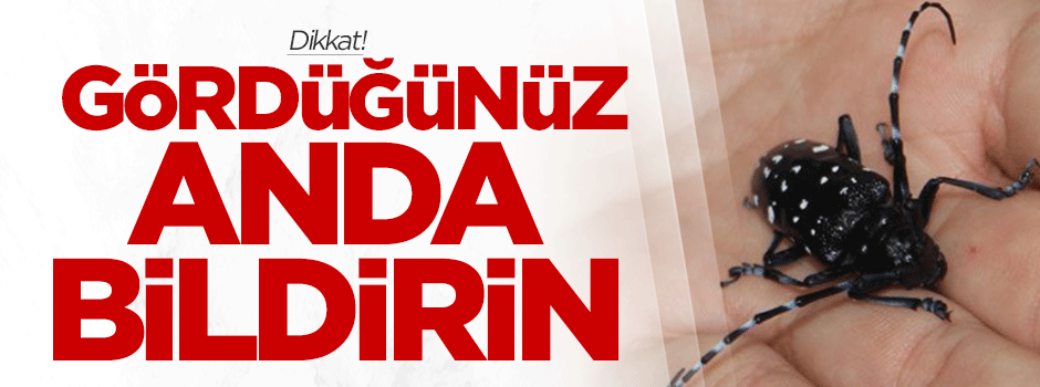 Dikkat! Gördüğünüz anda bildirin