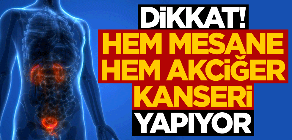 Dikkat! Hem mesane hem akciğer kanseri yapıyor