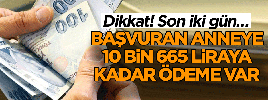 Dikkat! Son iki gün… Başvuran anneye 10 bin 665 liraya kadar ödeme var