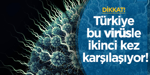 Dikkat: Türkiye bu virüsle ikinci kez karşılaşıyor