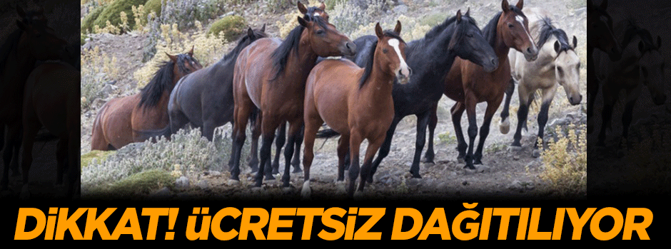 Dikkat! Ücretsiz dağıtılıyor