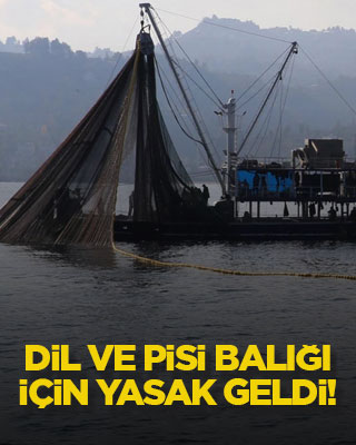 Dil ve pisi balığı için yasak geldi!