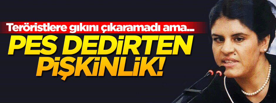 Dilek Öcalan'dan pişkinlik! Teröristlere gıkını çıkaramadı