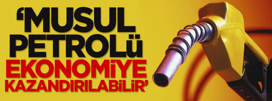 Dilipak: Musul petrolü ekonomiye kazandırılabilir