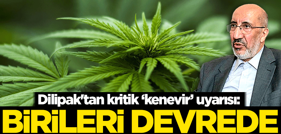 Dilipak'tan kritik kenevir uyarısı: Birileri devrede