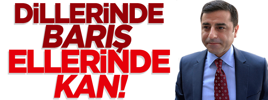 Dillerinde barış ellerinde kan!