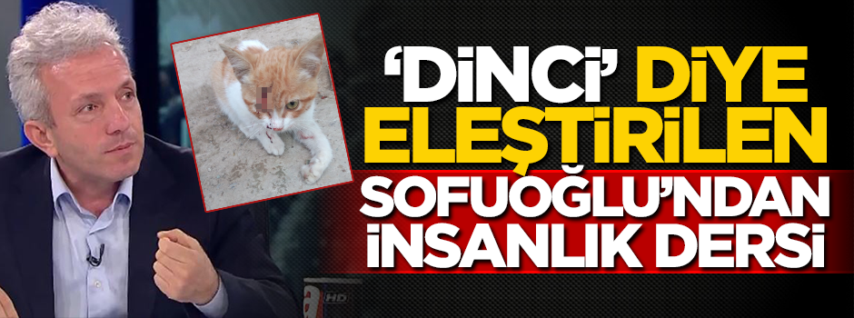 Profesör, yaralı kedi için canını dişine taktı