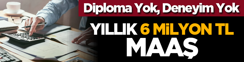 Diploma Yok, Deneyim Yok: Yıllık 6 Milyon TL Maaş