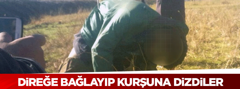 Direğe bağlayıp kurşuna dizdiler