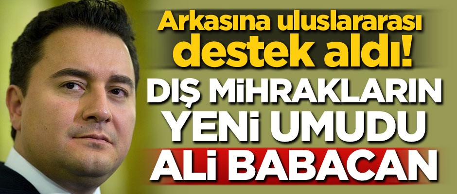Dış mihrakların yeni umudu Ali Babacan! Arkasına destek aldı