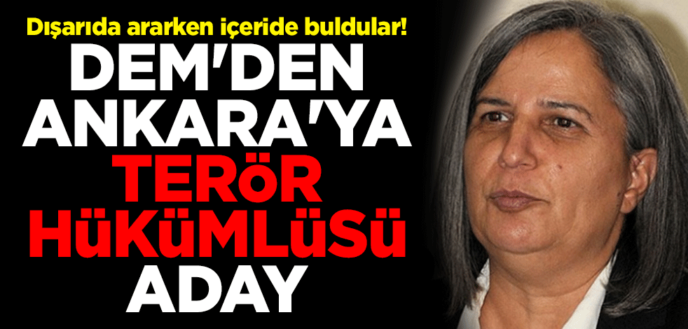 Dışarıda ararken içeride buldular! DEM'den Ankara'ya terör hükümlüsü aday