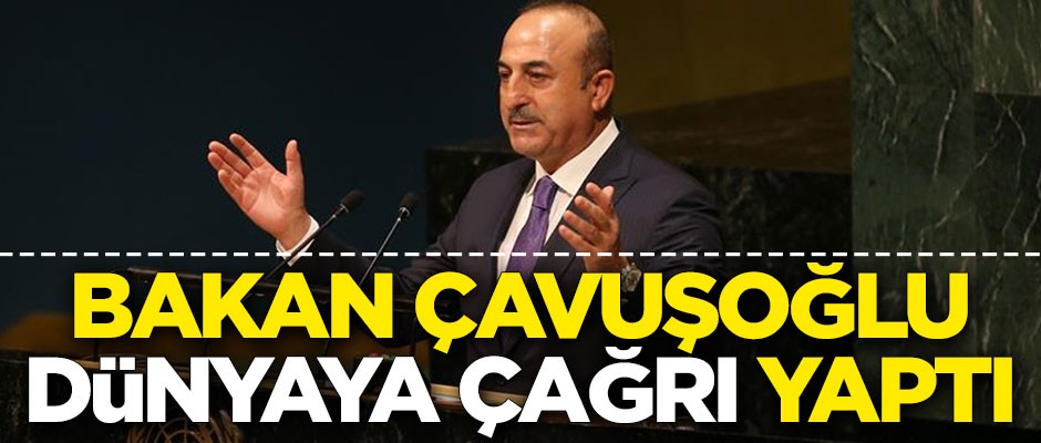Dışişleri Bakanı Mevlüt Çavuşoğlu'ndan dünyaya çağrı