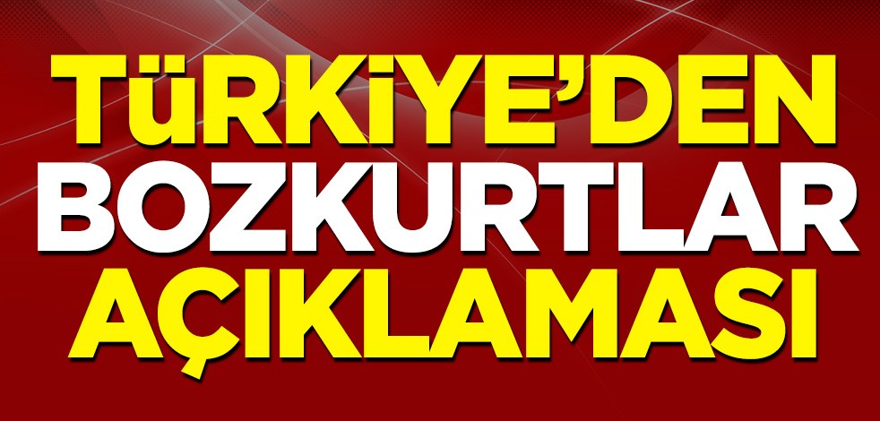Dışişleri Bakanlığı'ndan "Bozkurtlar" açıklaması