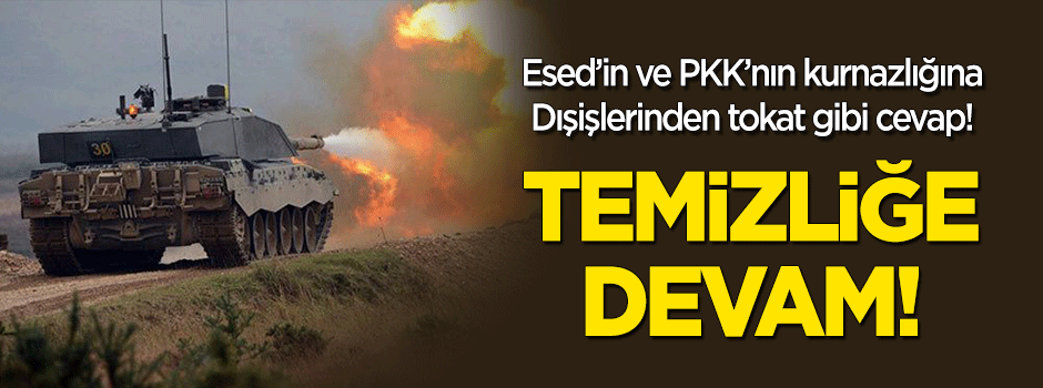 Dışişleri'nden karar için flaş açıklama: Teröristleri vurmaya devam!