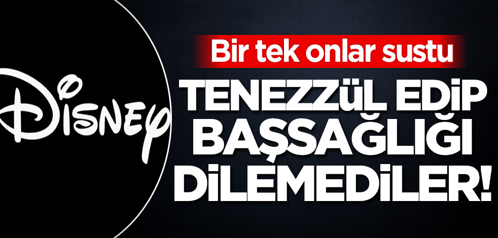 Disney Plus depreme ilişkin tek bir kelime etmedi!