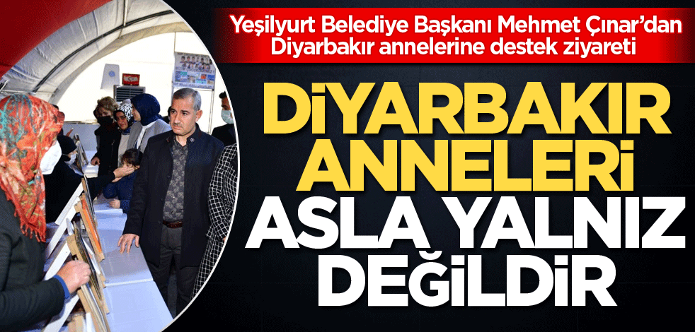 "Diyarbakır anneleri asla yalnız değildir"