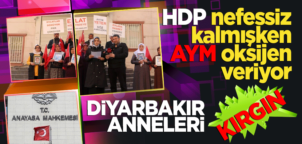Diyarbakır Anneleri: HDP nefessiz kalmışken AYM oksijen veriyor