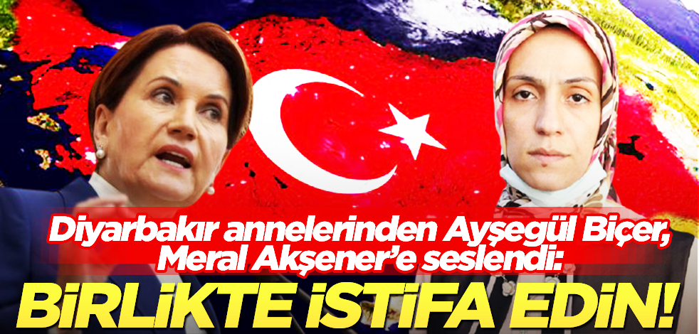 Diyarbakır annelerinden Ayşegül Biçer’den Meral Akşener’e çağrı: Küfürbaz Lütfü Türkkan’la birlikte istifa edin!
