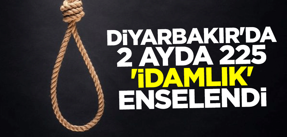 Diyarbakır'da 2 ayda 225 'idamlık' enselendi