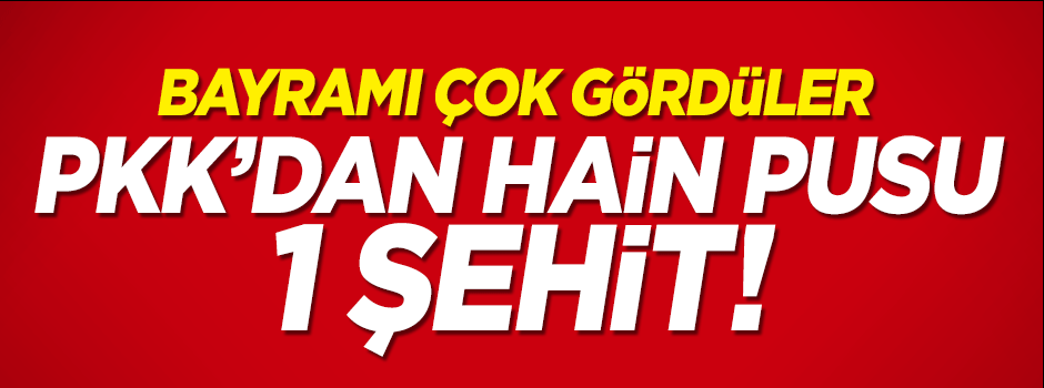 Diyarbakır'da hain pusu! 1 şehit