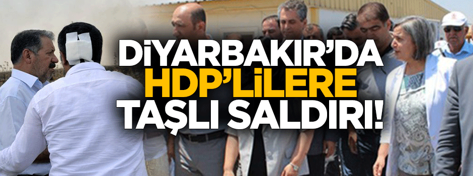 Diyarbakır'da HDP'li vekillere taşlı sopalı saldırı