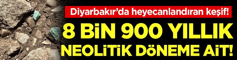 Diyarbakır'da heyecanlandıran keşif: 8 bin 900 yıllık neolitik döneme ait çıktı!