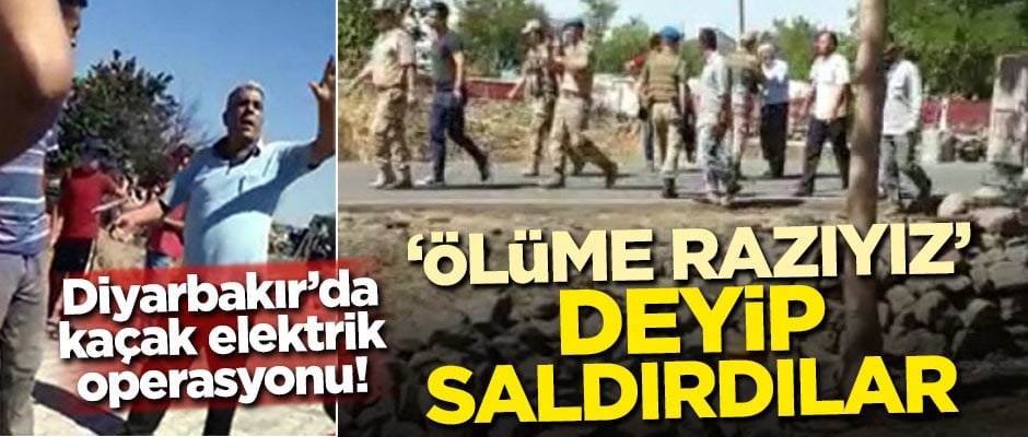 Diyarbakır'da kaçak elektrik operasyonu! 'Ölüme razıyız' deyip ekiplere saldırdılar
