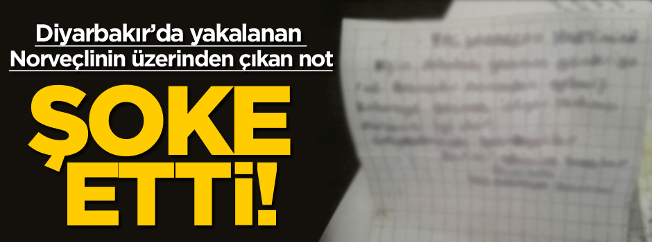 Diyarbakır’da yakalanan Norveçli'den bu not çıktı!
