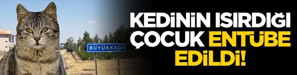 Diyarbakır'dan çok kötü haber: Kedinin ısırdığı çocuk entübe edildi!