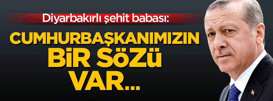 Diyarbakırlı şehit babası: Cumhurbaşkanımızın dediği gibi...