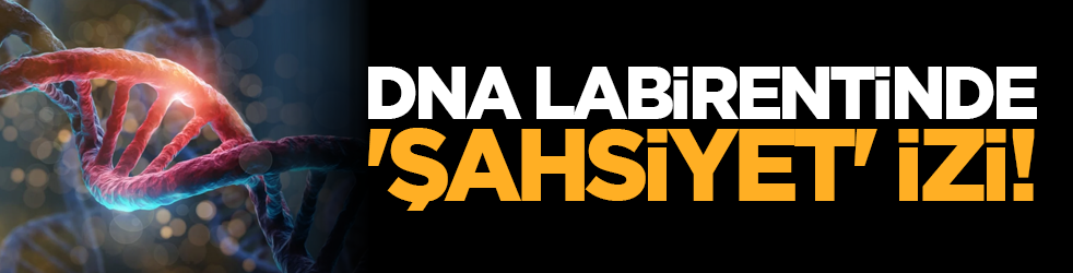 DNA labirentinde 'şahsiyet' izi!