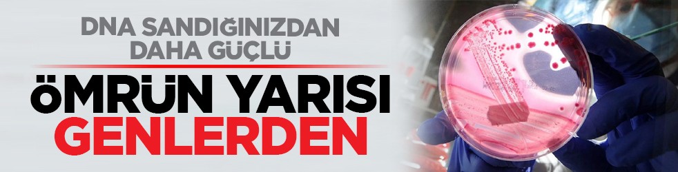 DNA sandığınızdan daha güçlü: Ömrün yarısı genlerden