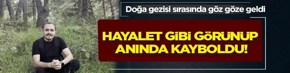 Doğa gezisi sırasında göz göze geldi: Vaşak, hayalet gibi görünüp anında kayboldu!