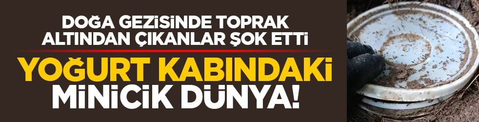 Doğa gezisinde toprak altından çıkanlar şok etti: Yoğurt kabındaki minicik dünya!