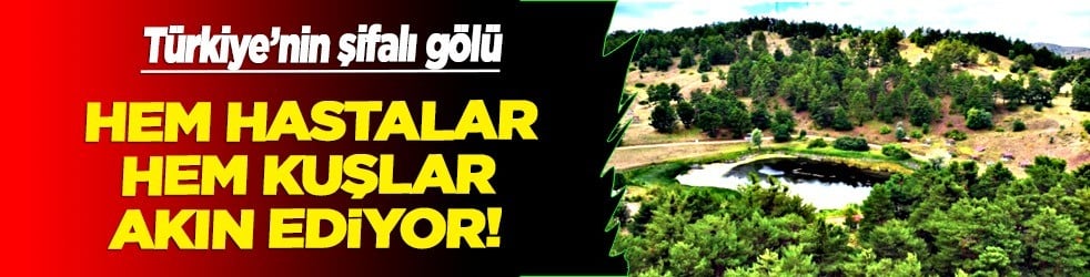Doğa severler buraya: Sülük gölü doğal güzelliğiyle ilgi görüyor, hem hastalar hem kuşlar akın ediyor