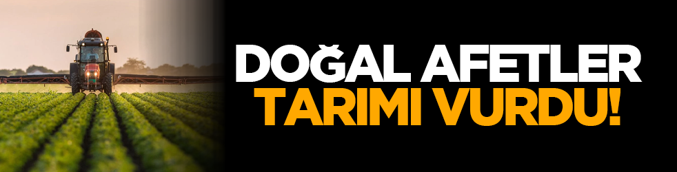 Doğal afetler tarımı vurdu!