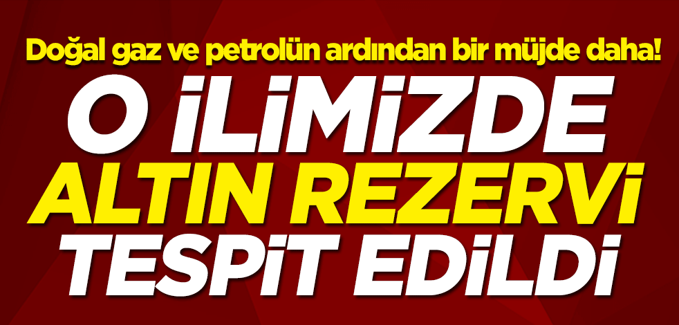 Doğal gaz ve petrolün ardından bir müjde daha! O ilimizde altın rezervi tespit edildi