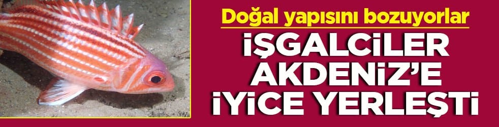 Doğal yapısını bozuyorlar İşgalciler Akdeniz’e iyice yerleşti