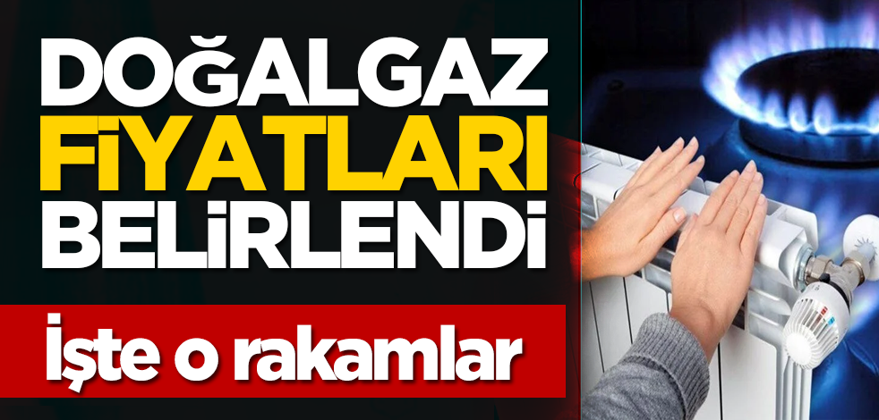 Doğalgaz fiyatları belirlendi... İşte o rakamlar