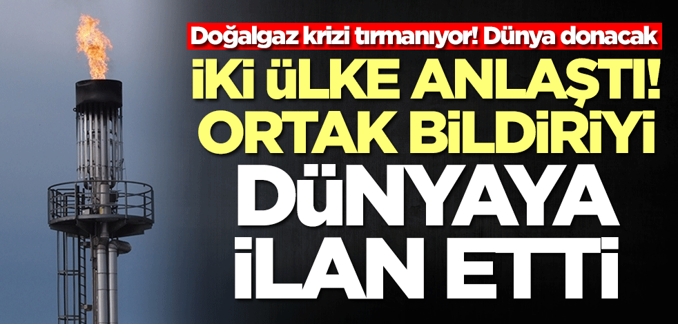 Doğalgaz krizi dünyayı donduracak! İki ülke ortak bildiriyi ilan etti