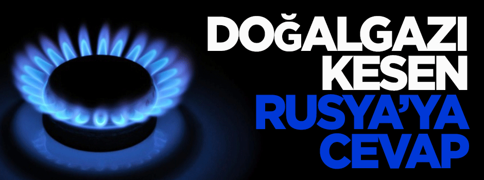 Doğalgazı kesen Rusya'ya cevap