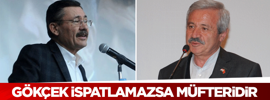Doğan: Gökçek ispatlamazsa müfteridir
