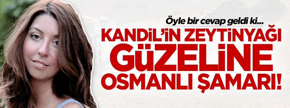 Doğan medyası PKK’yı savunmak için bunu da yaptı