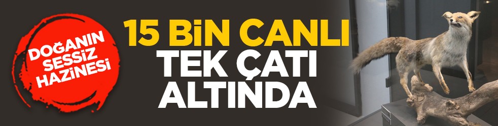 Doğanın sessiz hazinesi: 15 bin canlı tek çatı altında