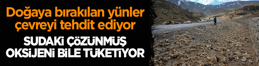 Doğaya bırakılan yünler çevreyi tehdit ediyor! Sudaki çözünmüş oksijeni bile tüketiyor