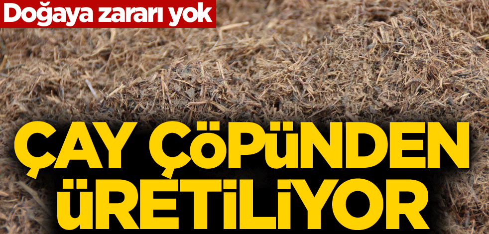 Doğaya zararı yok! Çay çöpünden üretiliyor