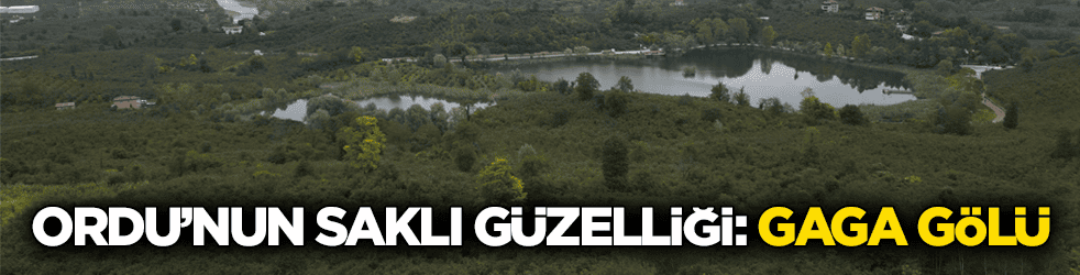 Doğayla iç içe bir ortam! Gaga Gölü dikkat çekiyor