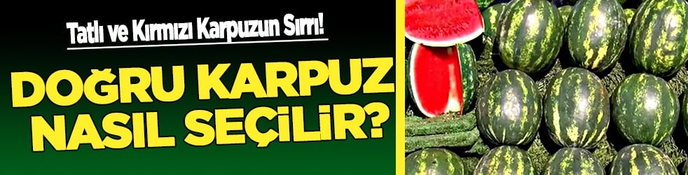 Doğru Karpuz Nasıl Seçilir? İşte Tatlı ve Kırmızı Karpuzun o bilinmeyen sırrı...